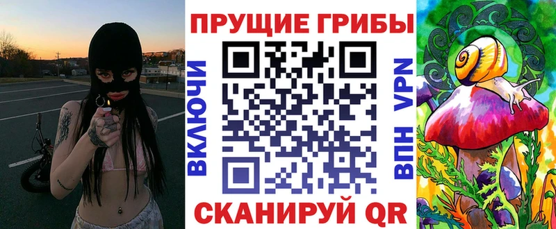 Галлюциногенные грибы Cubensis  дарнет шоп  Высоцк 