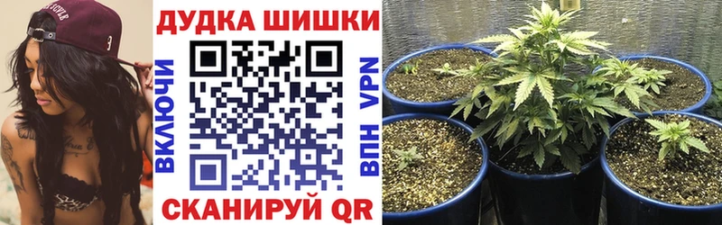 Марихуана OG Kush Высоцк